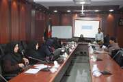 جلسه اهمیت انجام غربالگری نوزادان کم کار تیروئید در سالن اجتماعات شبکه بهداشت و درمان اسلامشهر